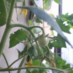 e5fe92fd-0693-46ee-891e-70ebe4e223b1